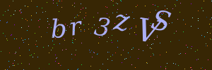 Validation image